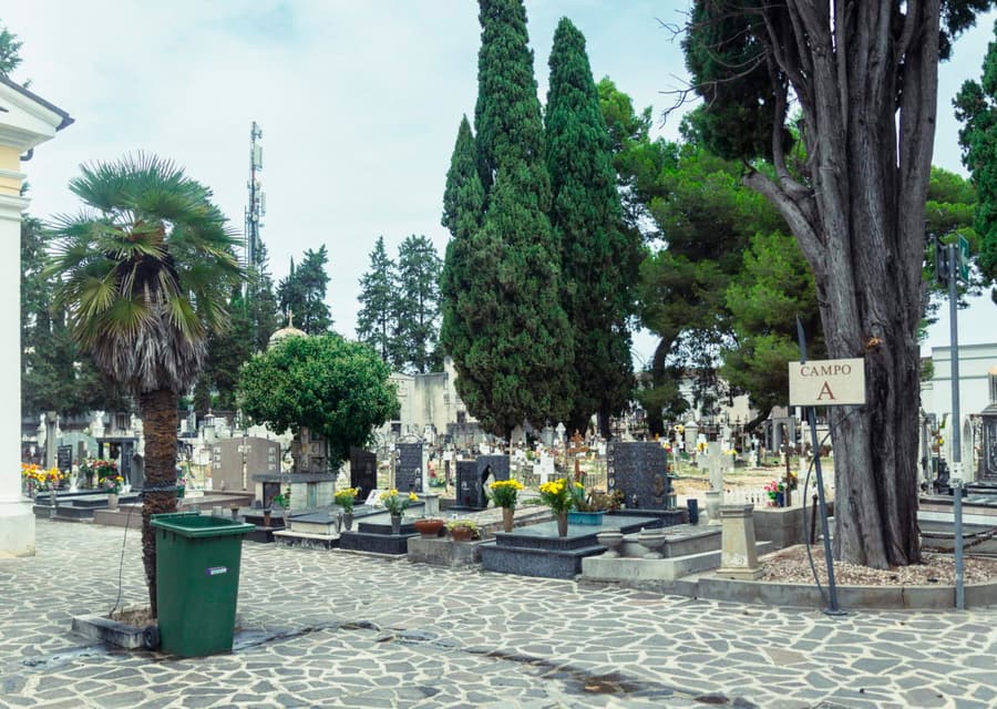 Colle Madonna (parte bassa) &mdash; foto 4