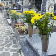 cimitero colle madonna bassa pescara